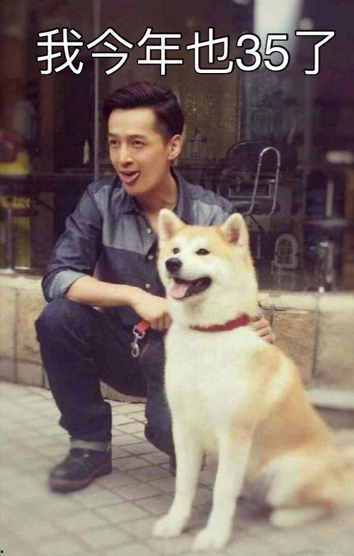 娱乐吃瓜君胡歌,娱乐圈的吃瓜传奇，揭秘明星背后的故事